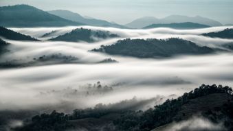 Фреска туман в горах