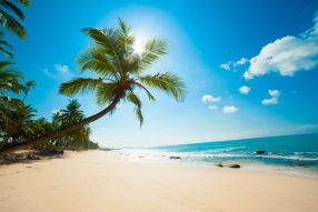 Фотообои Пальмы и пляж