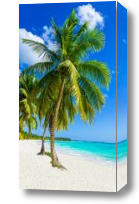 Картина Пальмы на пляже моря