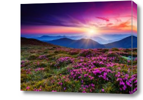 Картина Цветущая долина в фиолетовом закате