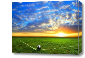 Картина Мяч, поле, солнце