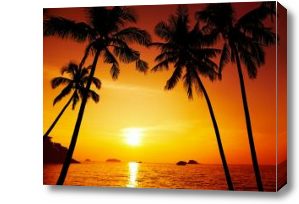 Картина Оранжевый закат и пальмы