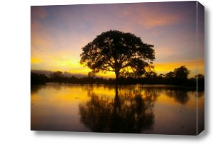 Картина закат на озере