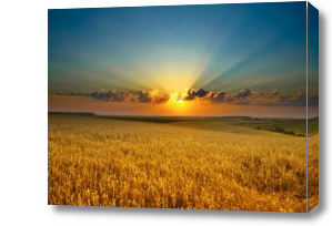 Картина Закат над полем